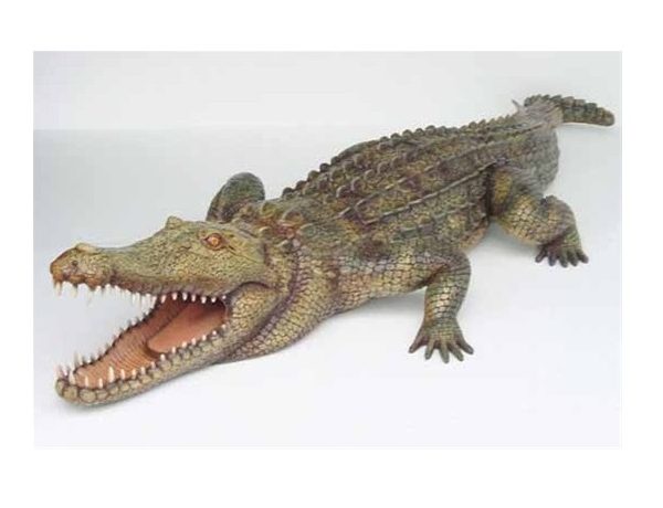 Quelle est la différence entre un alligator, un crocodile et un caïman