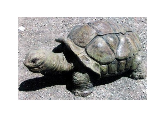 Fiberglass Tortoise