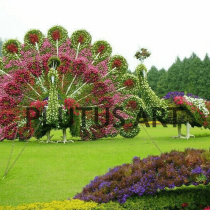 Fiber Grass designed peacock Statues