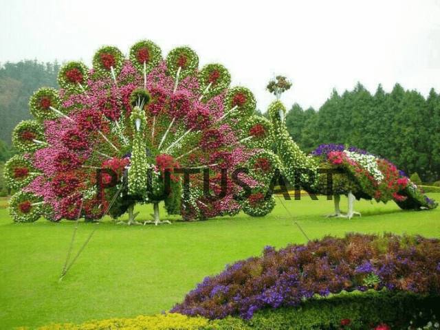 Fiber Grass designed peacock Statues