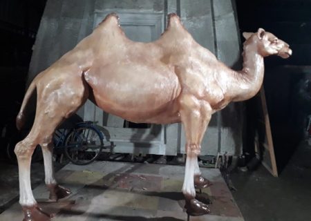 Fiberglass Camel Statue