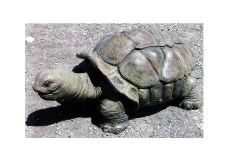 Fiberglass Tortoise Sculpture